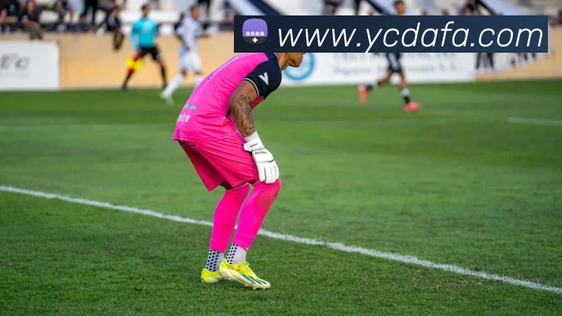 大发彩票服务体系